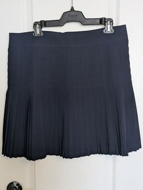 J. Crew Navy Pleated Mini Skirt